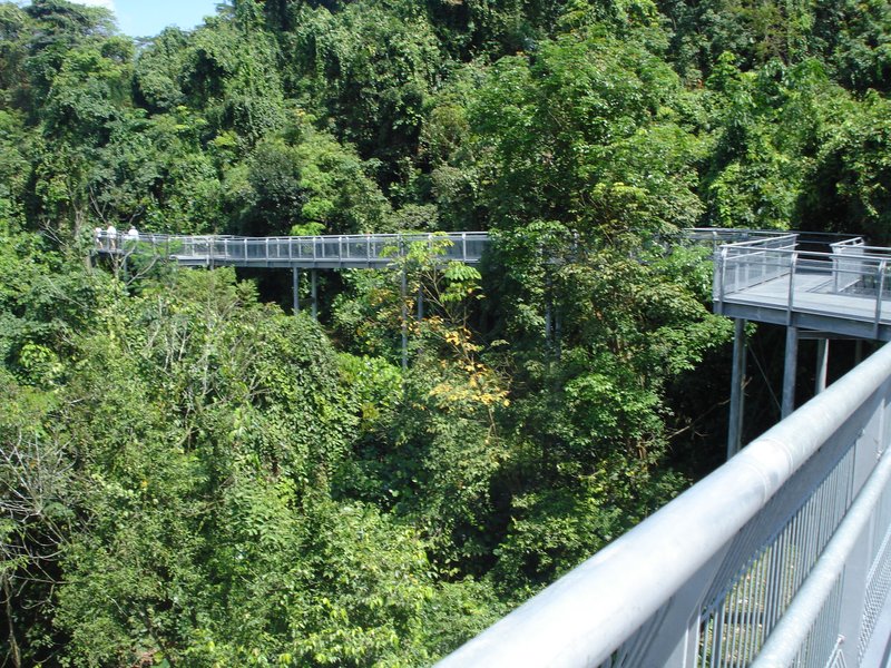 Southern Ridges Walk